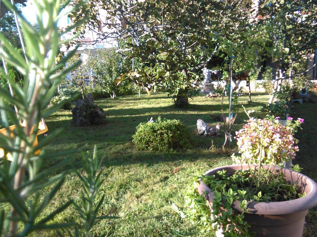 Apartments Lana Starigrad Paklenica Dış mekan fotoğraf