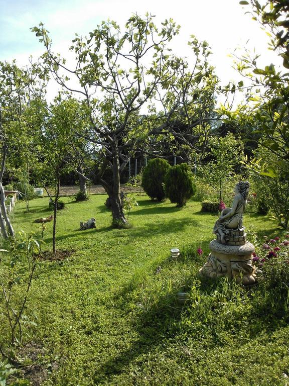 Apartments Lana Starigrad Paklenica Dış mekan fotoğraf