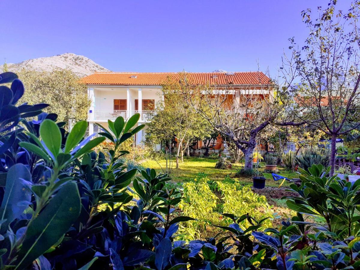 Apartments Lana Starigrad Paklenica Dış mekan fotoğraf